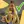 rsz_happy_python_person.png
